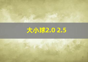 大小球2.0 2.5